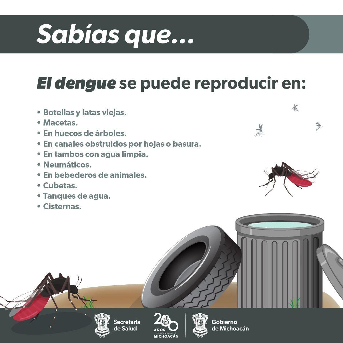 Esto es lo que debes saber sobre el dengue: síntomas, tratamiento y prevención. Si presentas fiebre por más de tres días; dolor de cabeza, huesos y articulaciones; s