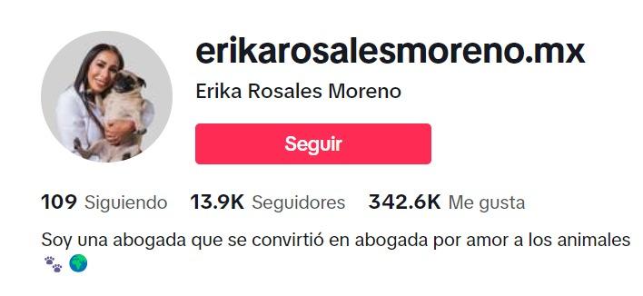 ¡Erika Rosales Triunfa en TikTok y Lidera la Nueva Era Política en SJR!