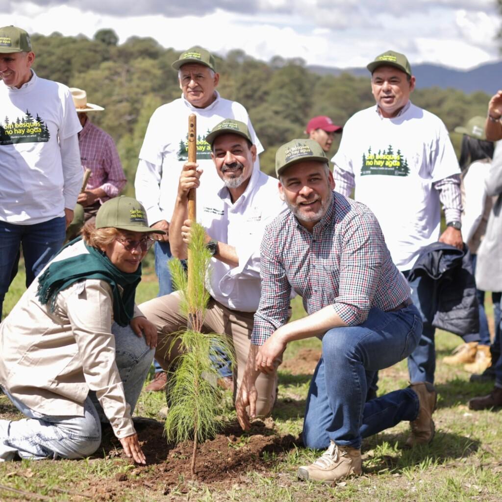 ¡Todos, manos a los árboles! Bedolla arranca reforestación estatal